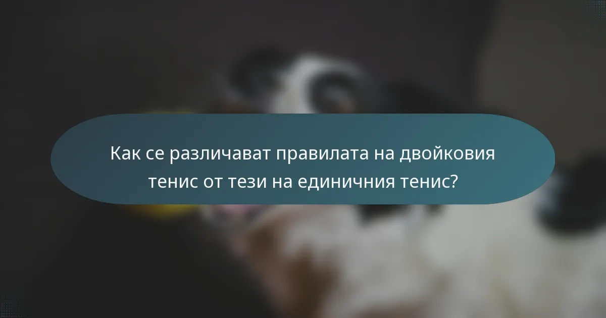 Как се различават правилата на двойковия тенис от тези на единичния тенис?